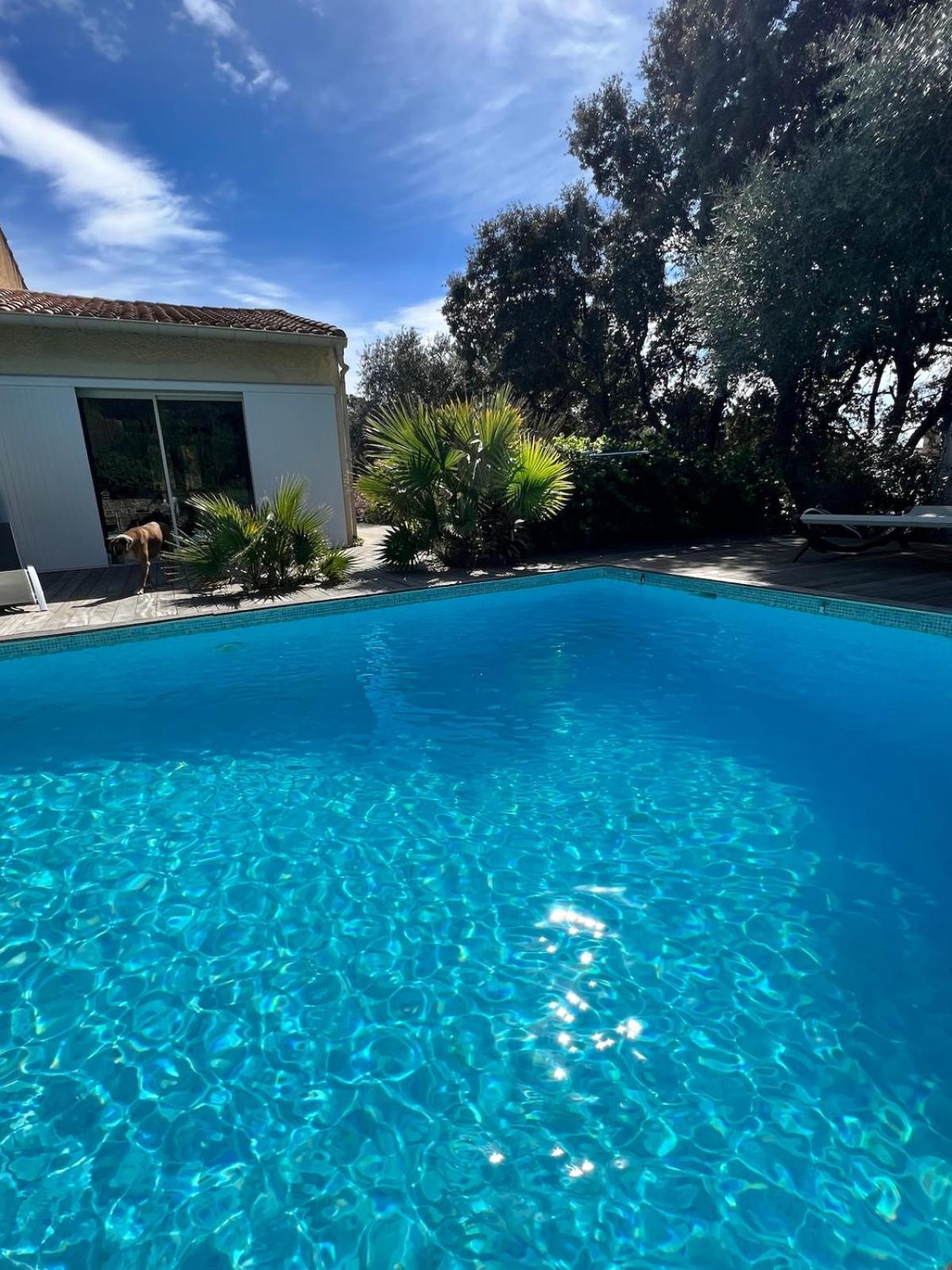 Le Havre De Paix En Garrigue 4 Chambres 3 Sdb Piscine Bezouce Экстерьер фото